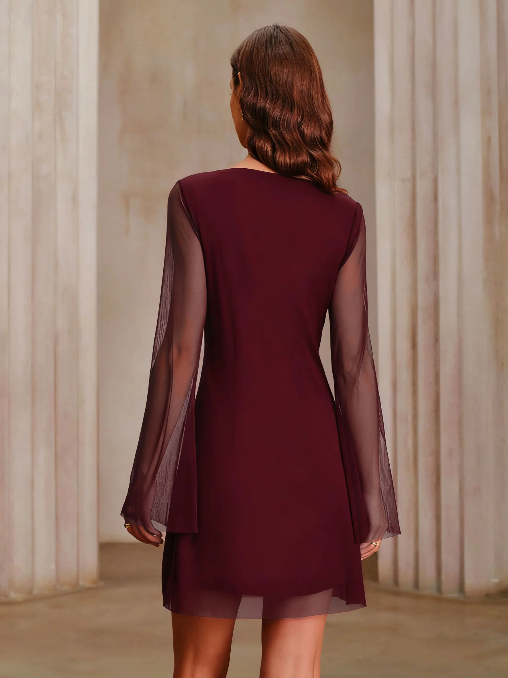 Wine Red Boat Neck Mesh Mini Dress - Image 4